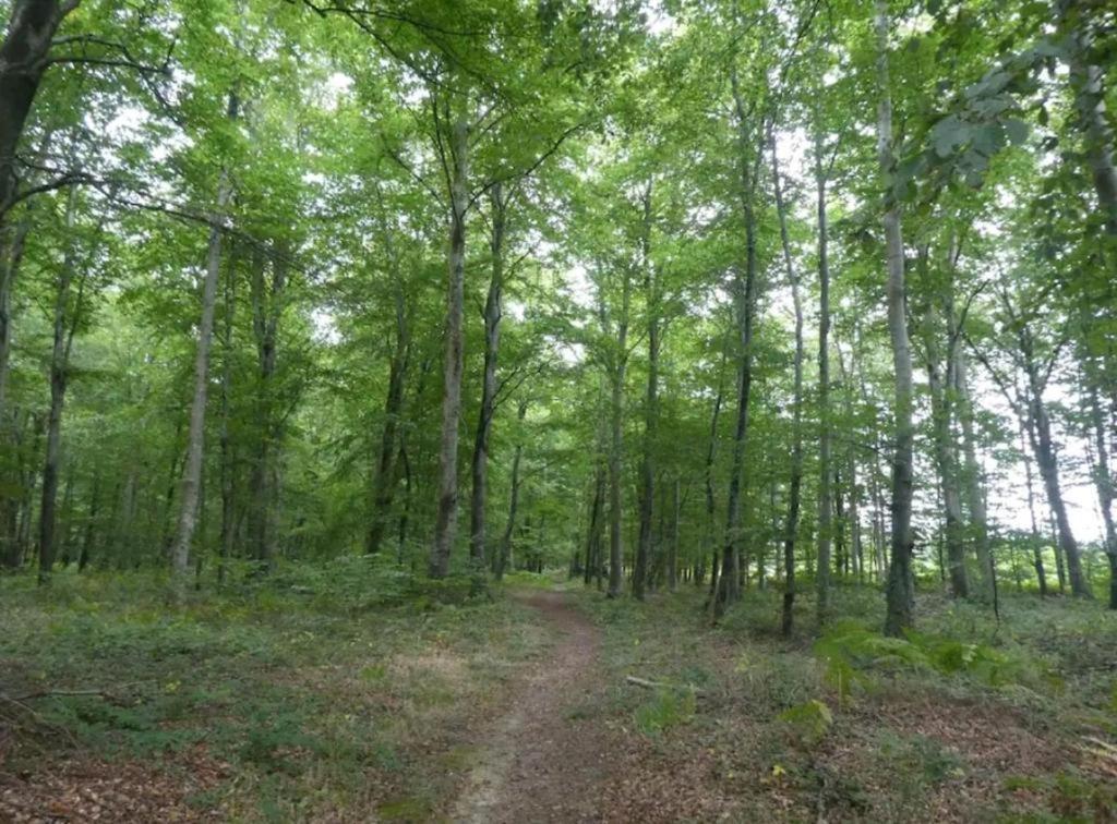 L'Authentique Tonneau A Cidre D'Emma Villa Litteau Dış mekan fotoğraf