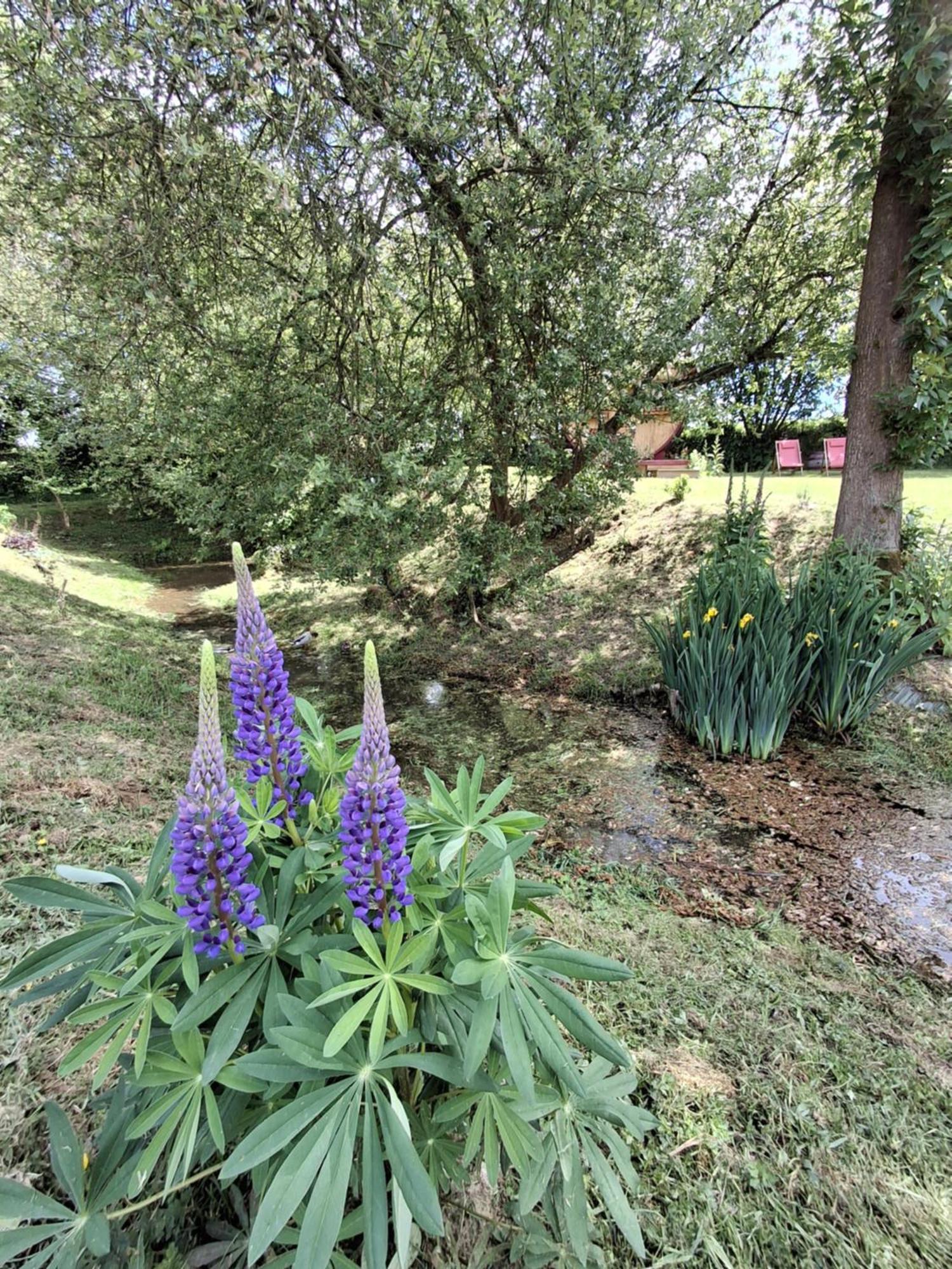 L'Authentique Tonneau A Cidre D'Emma Villa Litteau Dış mekan fotoğraf