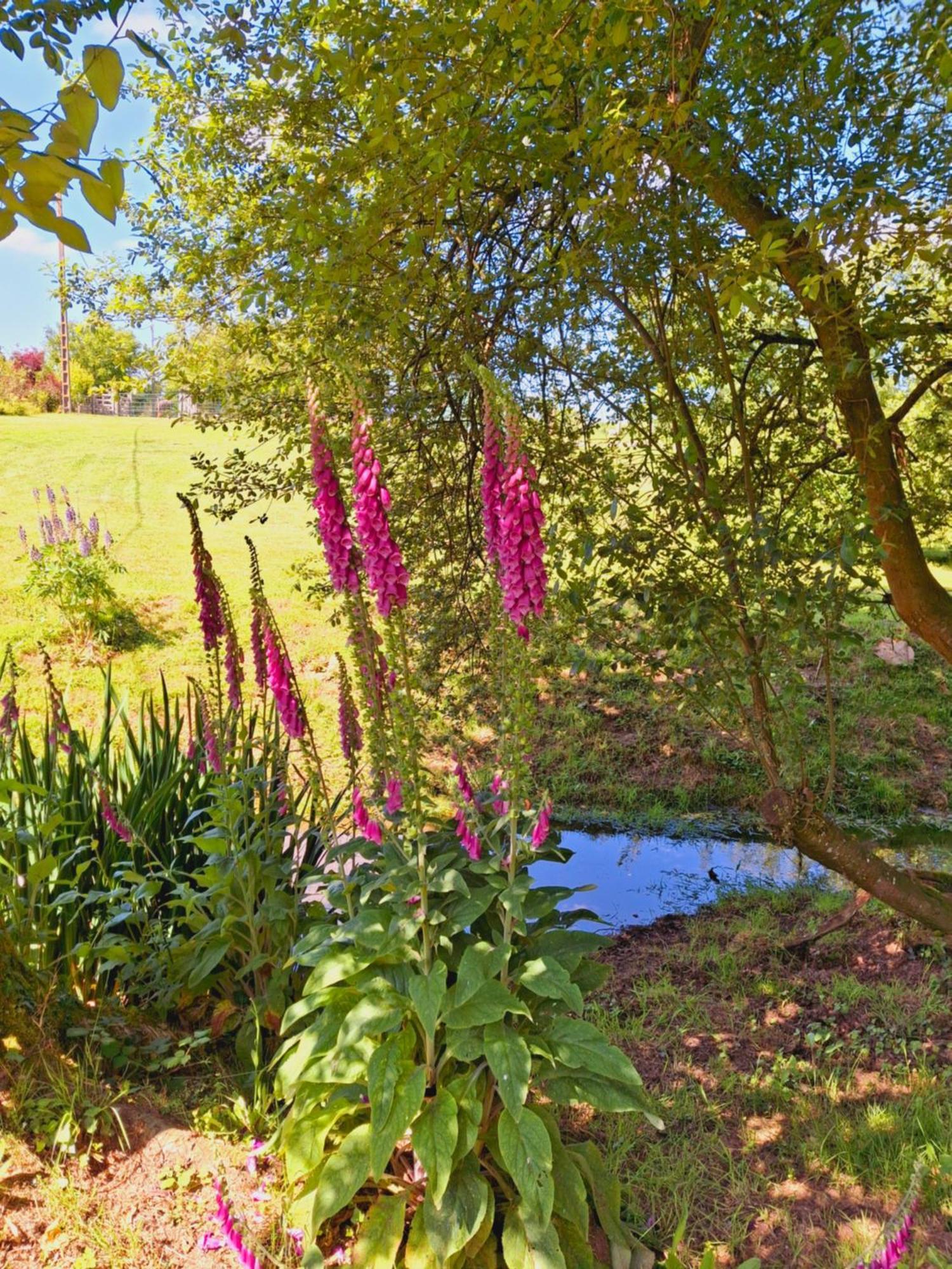 L'Authentique Tonneau A Cidre D'Emma Villa Litteau Dış mekan fotoğraf